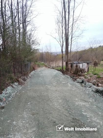 Teren Construcții intravilan de 1000 mp, în Ciurila