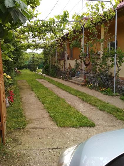 Casă cu 3 camere cu Teren 450 Mp în Ciolpani
