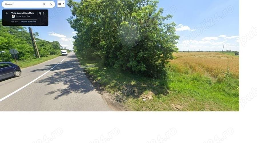 Teren de 28000 mp, în Vetiș
