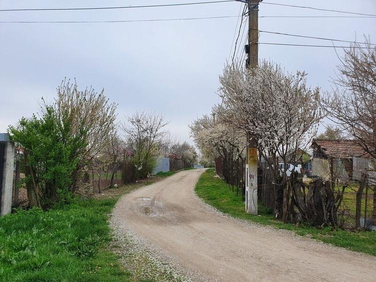 Teren Construcții intravilan de 2000 mp, în Bâldana