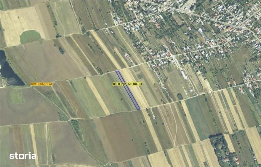Teren de 4600 mp, în Bolintin-Deal