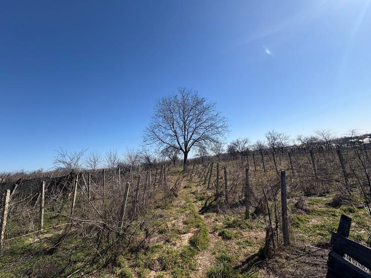 Teren Construcții intravilan de 2200 mp, în Urechești