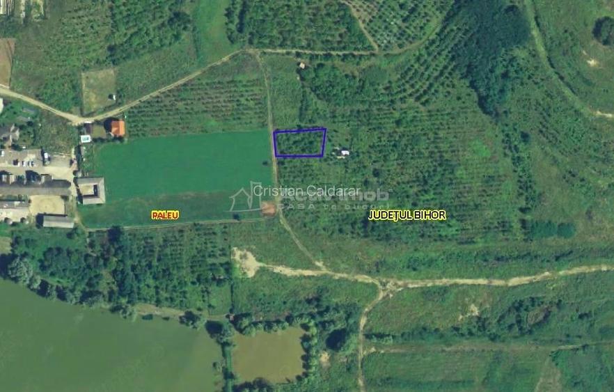 Teren intravilan - Saldabagiu de Munte - Paleu - Hanul Pescarilor