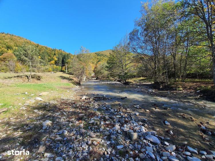 Teren de 18800 mp, în Brădet