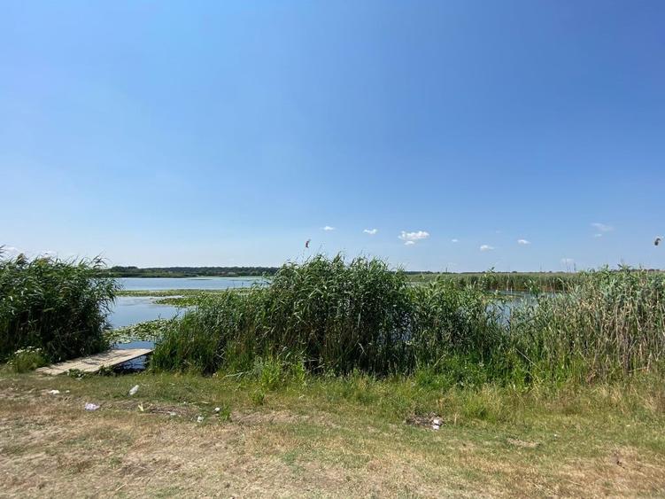 Teren de 5000 mp, în Snagov
