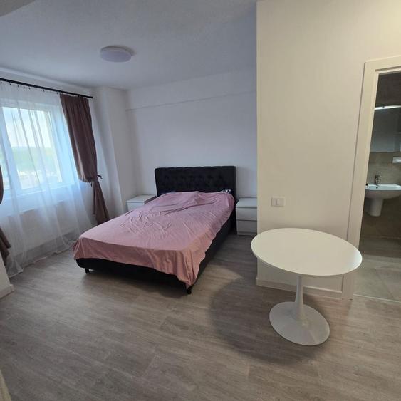 Apartament de inchiriat in Iasi / Visoianu - 10