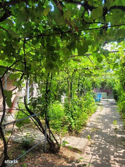 Casă cu 5 camere cu Teren 1300 Mp în Salcia