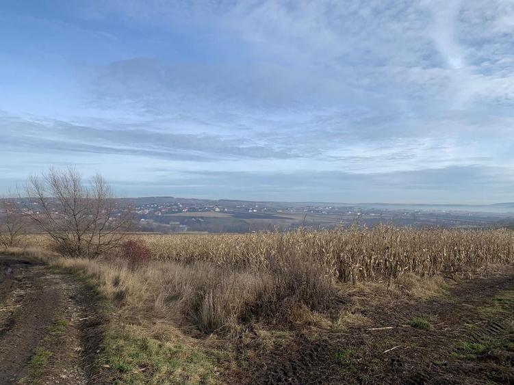 Teren Construcții intravilan de 7800 mp, în Est