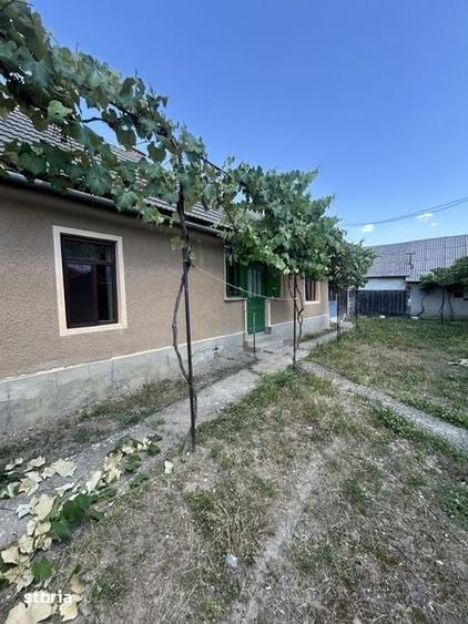 Casă cu 3 camere cu Teren 80 Mp în Boghiș
