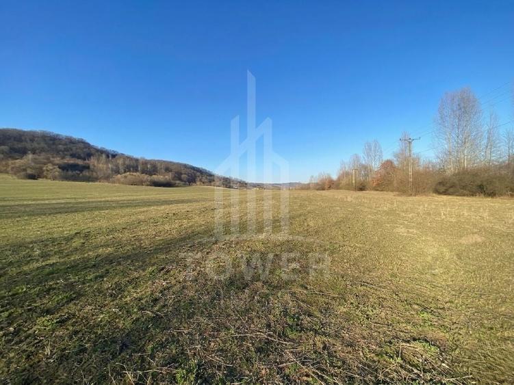 Teren agricol extravilan de 7500 mp, în Bradu