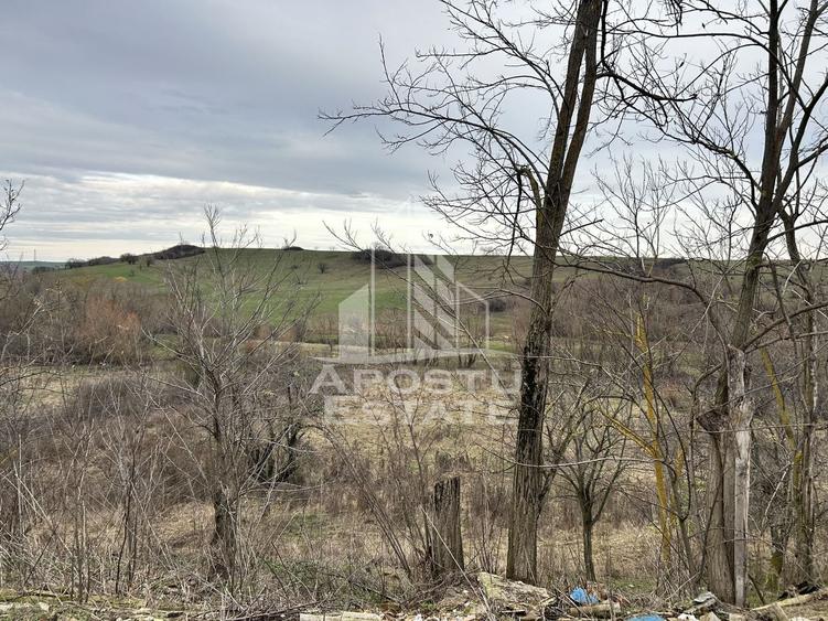 Teren Construcții intravilan de 3920 mp, în Herneacova