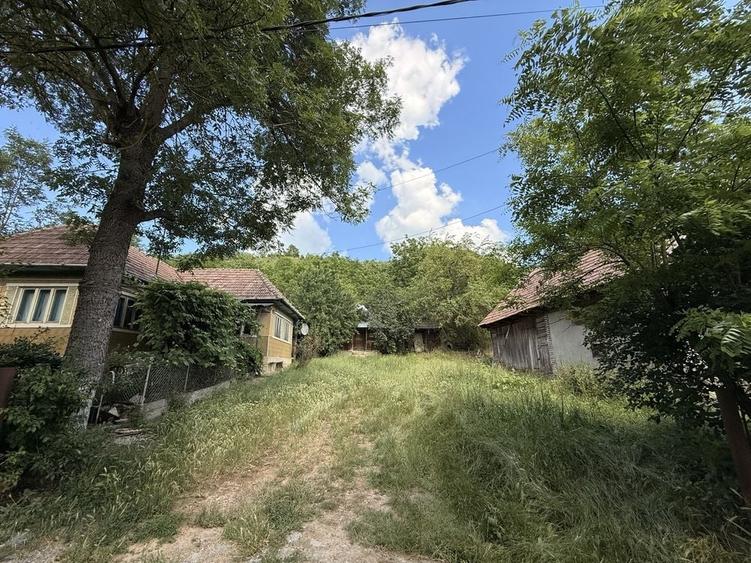 Casă cu 2 camere în Căianu Mare