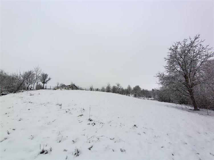 Teren Construcții intravilan de 2000 mp, în Mitocu Dragomirnei