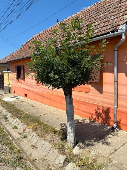 Casă individuală cu 3 camere cu Teren 1080 Mp în Vest