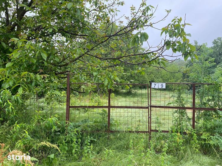 Teren intravilan de vanzare, 2477 mp,gaz curent put - 4