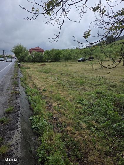 Teren de 15672 mp, în Aleșd