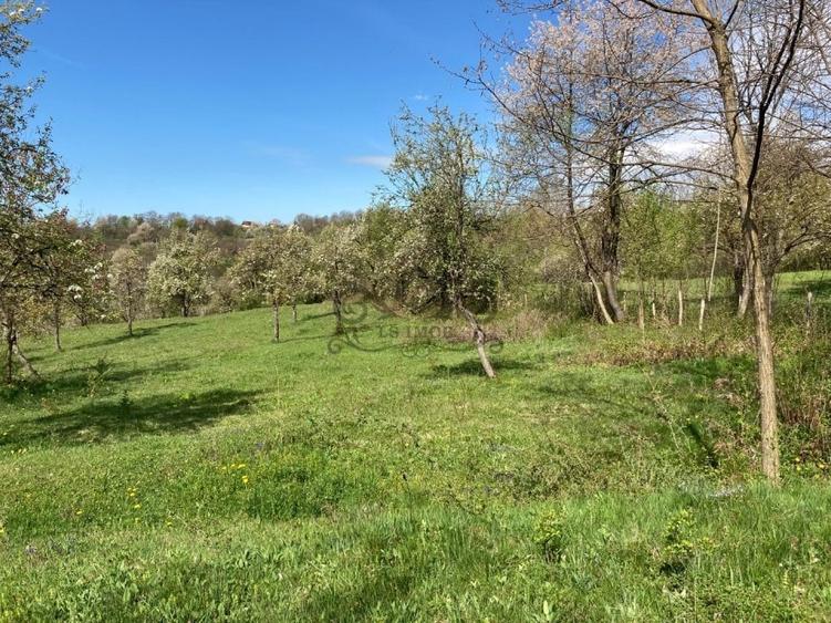 Teren Construcții intravilan de 4905 mp, în Albeștii de Muscel