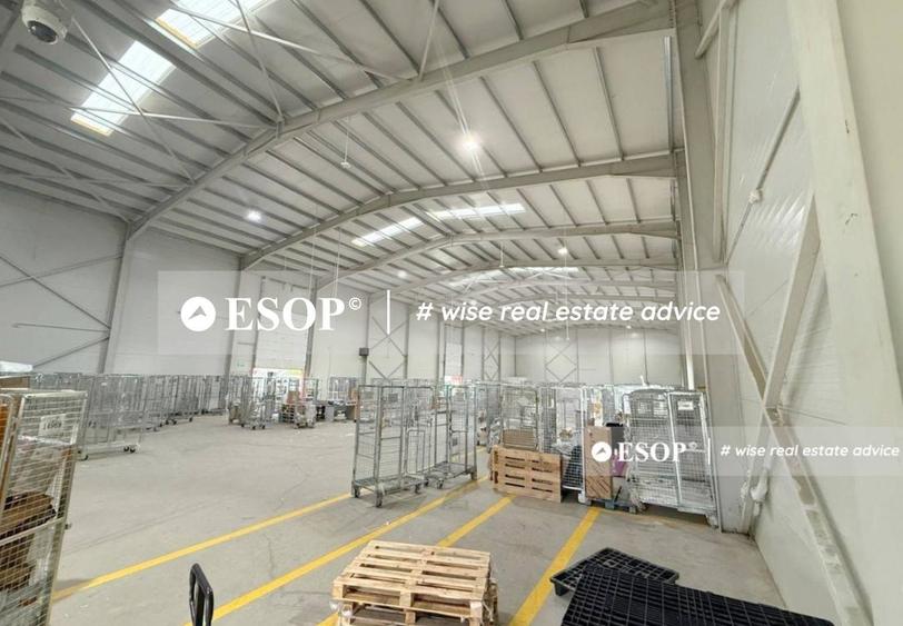 Spațiu industrial, de 2,450 mp, în Mogoșoaia