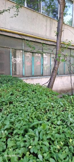 Apartament cu 2 camere semidecomandat în Plantelor