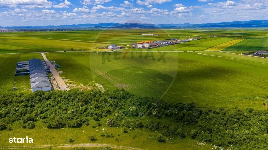 Spațiu comercial, în Tărlungeni