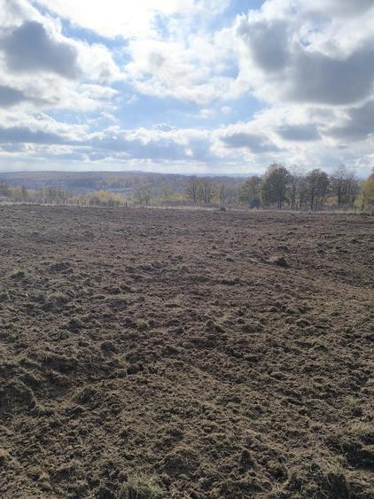 Teren Construcții intravilan de 1000 mp, în Dobrița