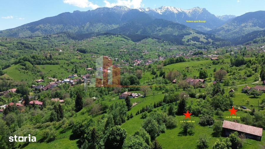 Teren de 1000 mp, în Bran