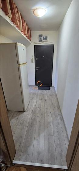 Apartament cu 3 camere la parter zona Complexul Studentesc - 16