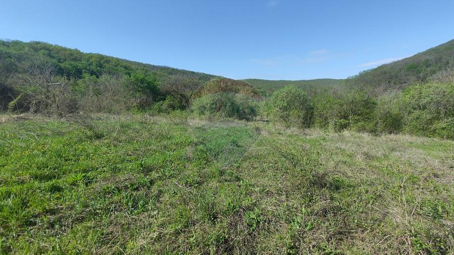 Teren Construcții intravilan de 3350 mp, în Stejeriș
