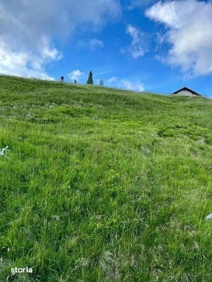 Teren de 1000 mp, în Beclean