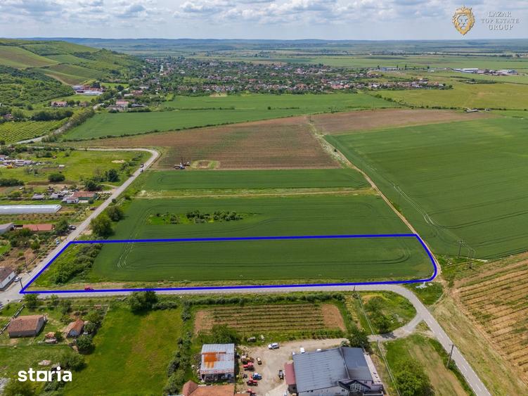 Teren de 6400 mp, în Ghioroc