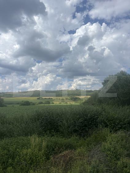 Teren agricol extravilan de 22183 mp, în Șimleu Silvaniei