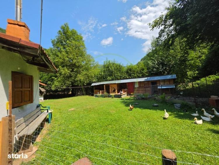 Proprietate Extraordinara Lotrioara, Judetul Sibiu! - 2