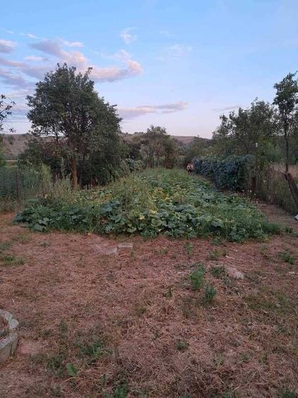 Casă cu 2 camere în Cuzăplac