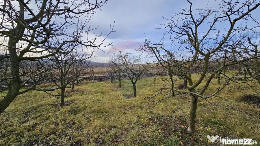 Teren de 10791 mp, în Fălticeni