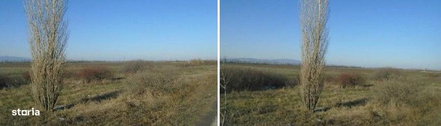 Teren de 5800 mp, în Central