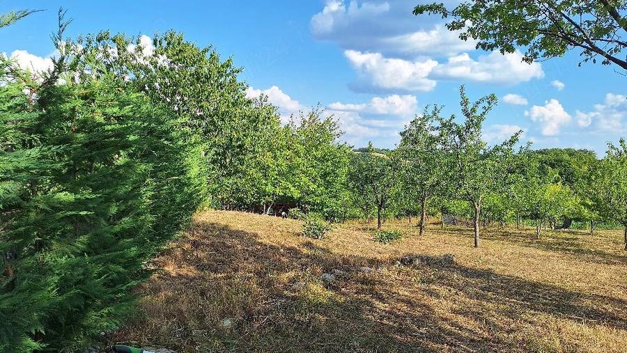 Teren de 5499 mp, în Poiana Tășad