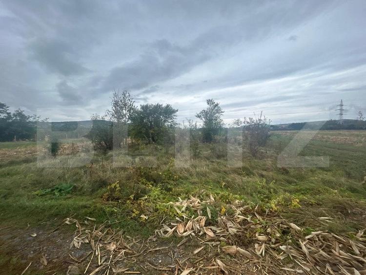 Teren agricol extravilan de 3700 mp, în Nord