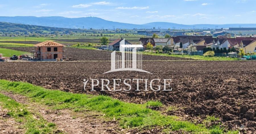 Teren agricol extravilan de 10000 mp, în Șura Mică