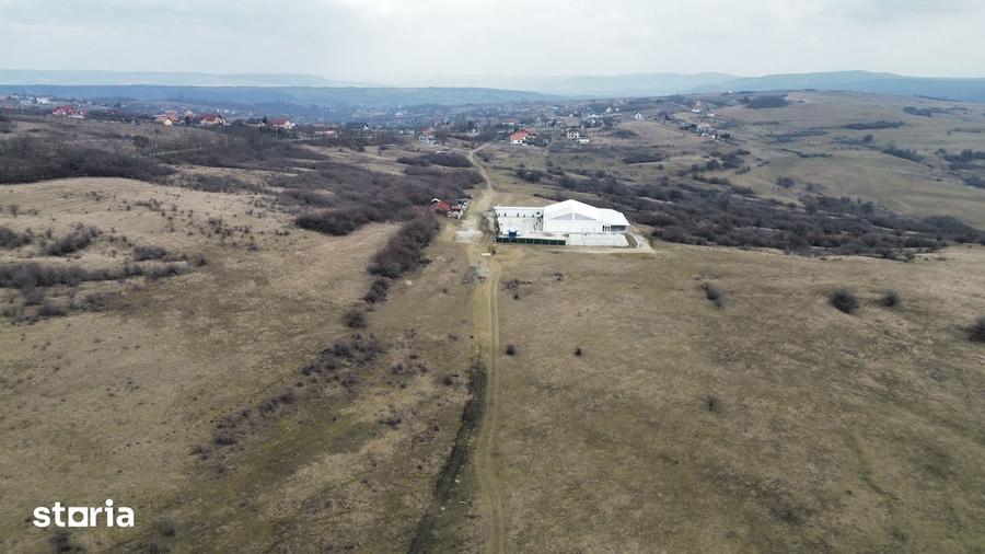 Teren de 67500 mp, în Roșia
