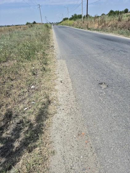 Teren de 3700 mp, în Sadina