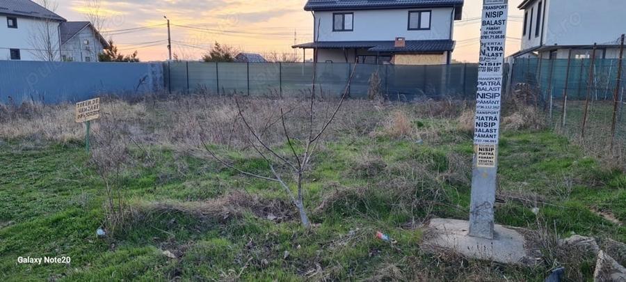 Teren intravilan Str Primaverii Berceni - 1