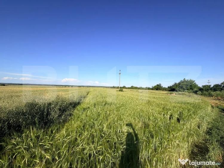 Teren par?ial intravilan de vanzare 9.550 mp, Comuna P - 1