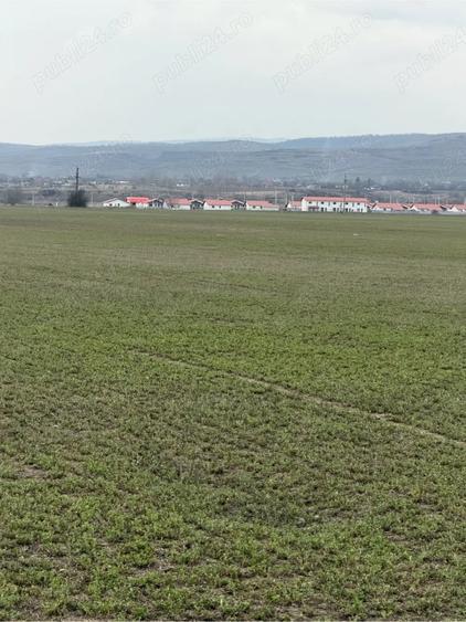 Teren de 10000 mp, în Vernești
