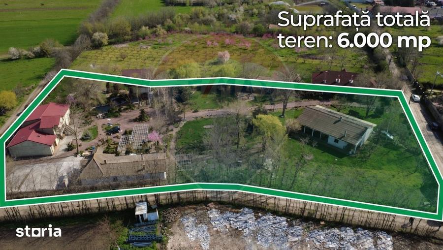 Casă cu 7 camere cu Teren 6000.72 Mp în Central