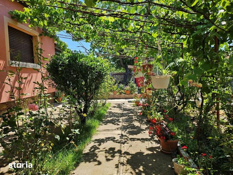 Casa din caramida, 2 dormitoare, 697 mp teren, Vladimirescu, jud Arad - 6