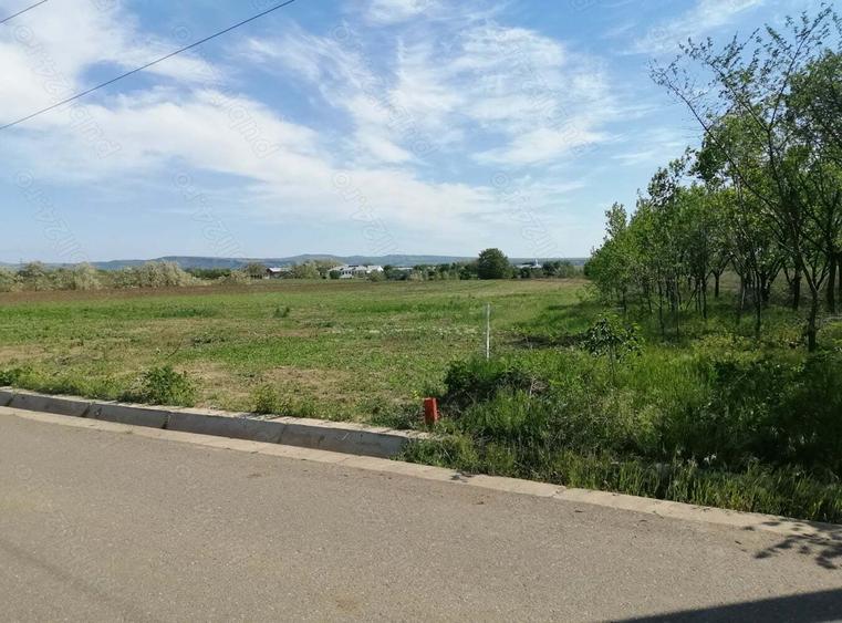 Teren de 6200 mp, în Săsenii Noi
