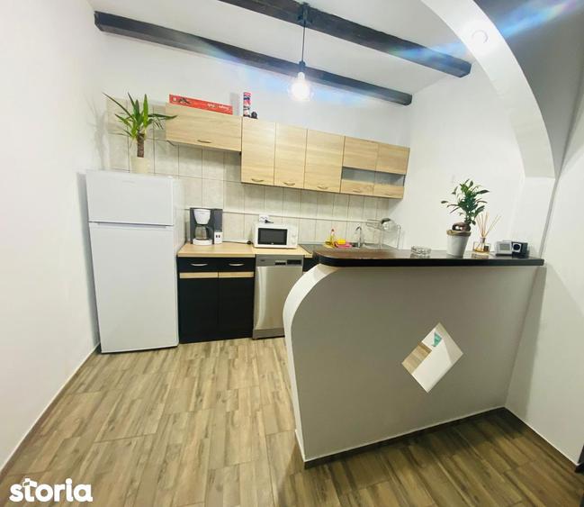 Casa de vacanta cu 5 camere si iesire la rau in Raul Sadului - 7