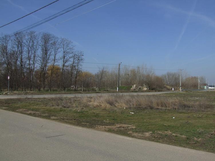 Spațiu comercial, în Domnești