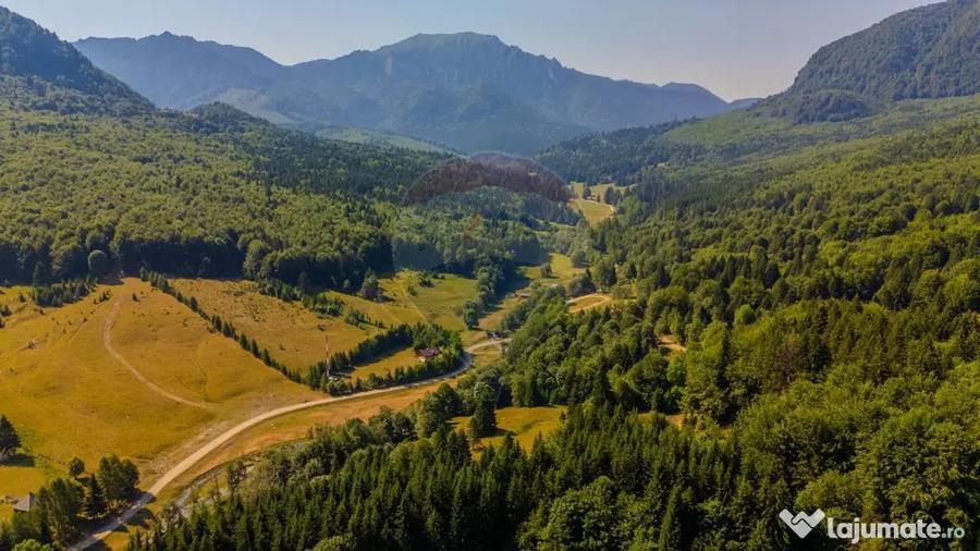 Teren de 20000 mp, în Dălghiu