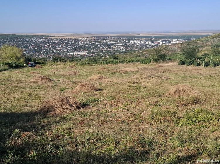 Teren de 5000 mp, în Central